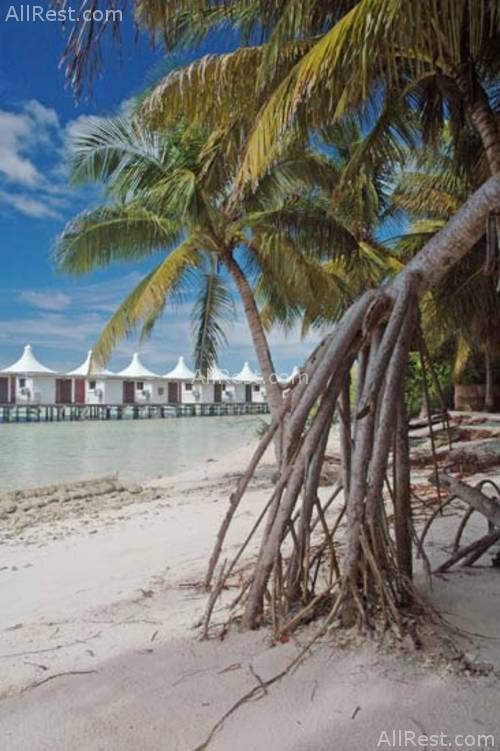 Chaaya Lagoon Hakuraa Huraa 9
